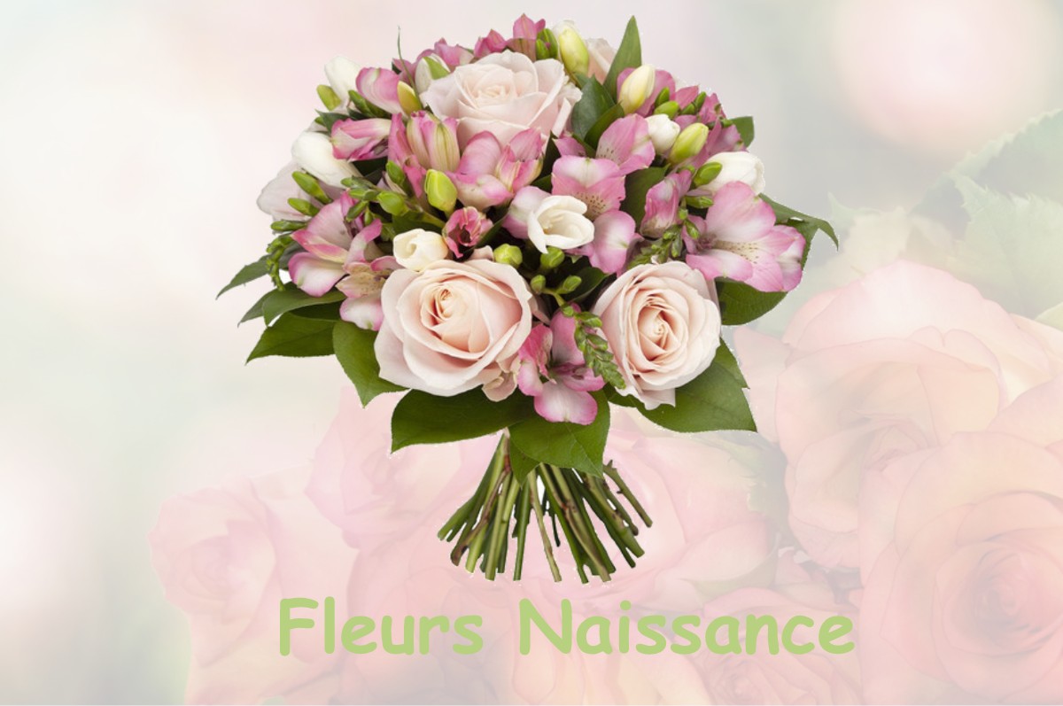 fleurs naissance SARREMEZAN