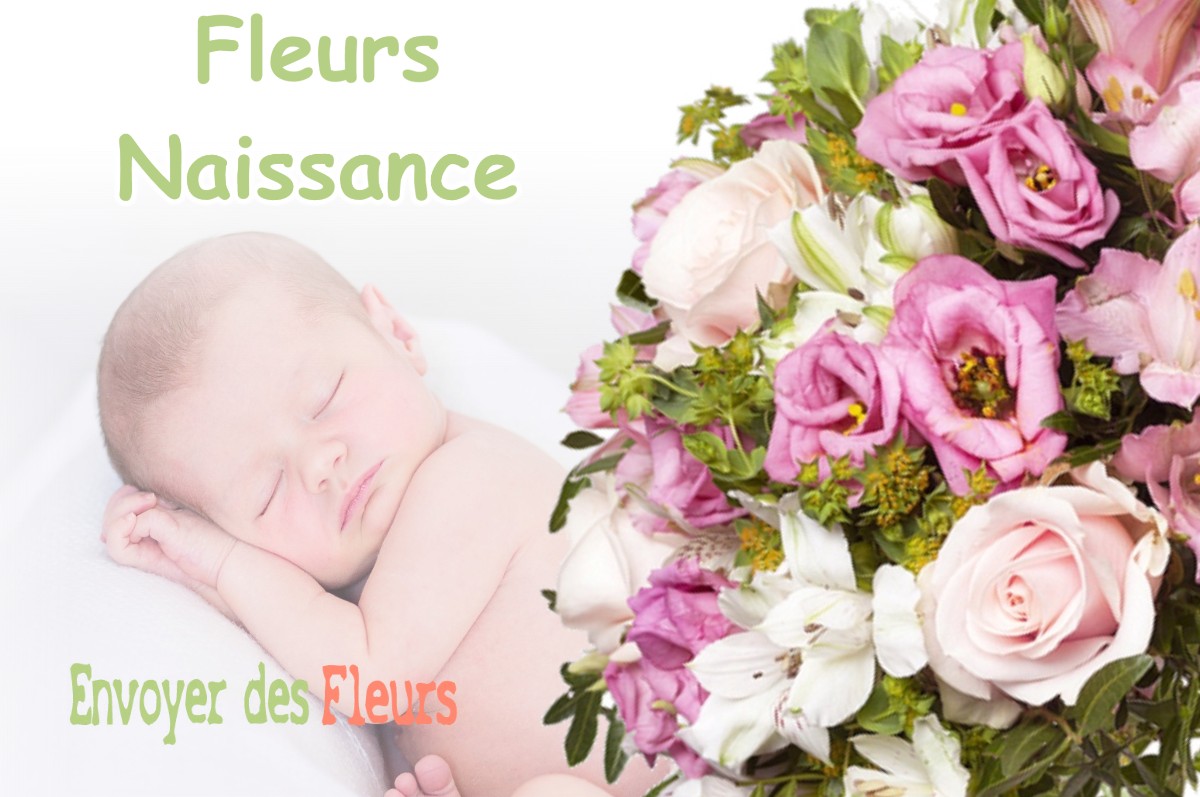 lIVRAISON FLEURS NAISSANCE à SARREMEZAN