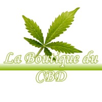 LA BOUTIQUE DU CBD SARREMEZAN 